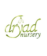 Dryad Nursery